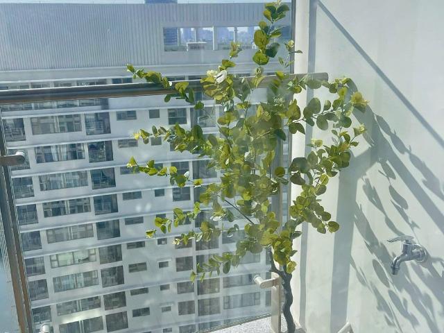 Căn hộ cho thuê tại Hồ Chí Minh