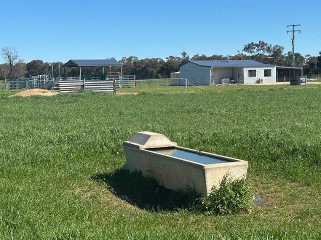 Acreage for sale in Culcairn, New South Wales