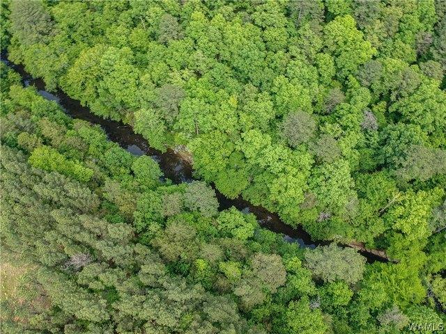 Land for sale in Brookwood, Alabama