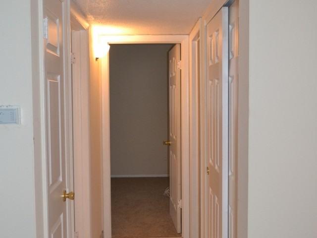 Apartment for rent in Largo, Florida