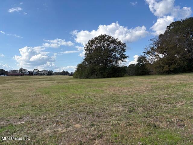 Land for sale in Harperville, Mississippi