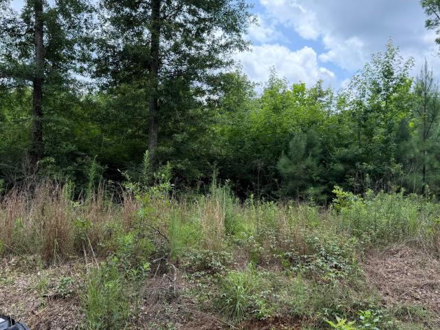 Land for sale in Forest, Mississippi