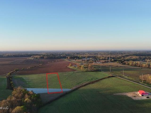 Land for sale in Lena, Mississippi