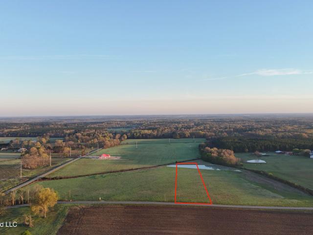 Land for sale in Lena, Mississippi
