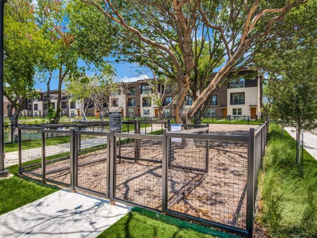 Apartment for rent in Farmers Branch, Texas