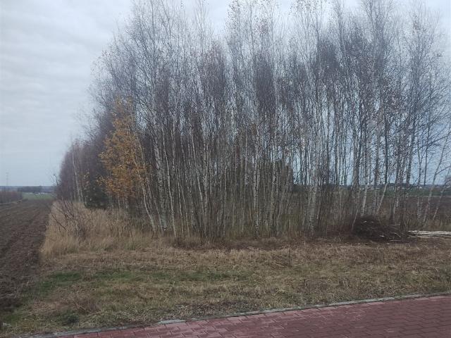 Grunt na sprzedaż w Miedźno, Śląskie