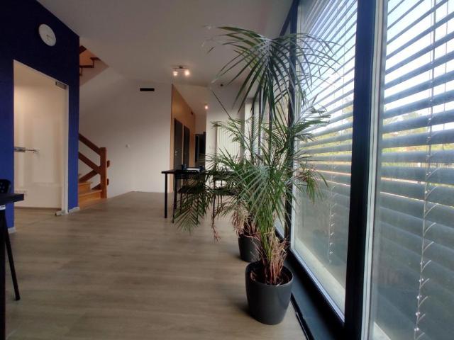 Pokój do wynajęcia w Poznań, Wielkopolskie