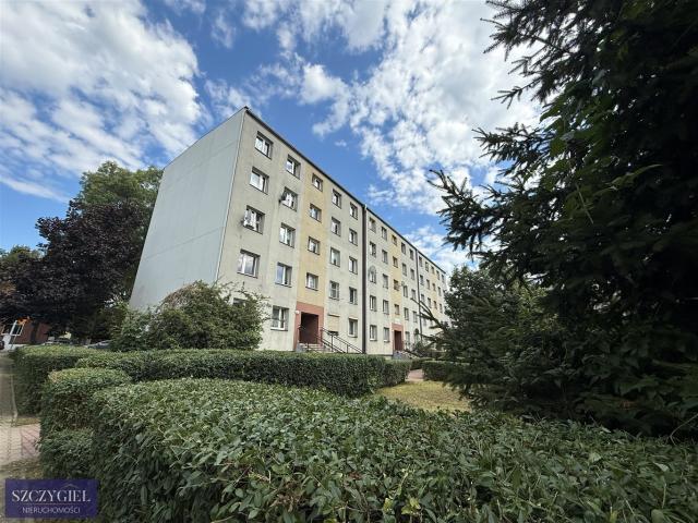 Mieszkanie do wynajęcia w Chorzów, Śląskie