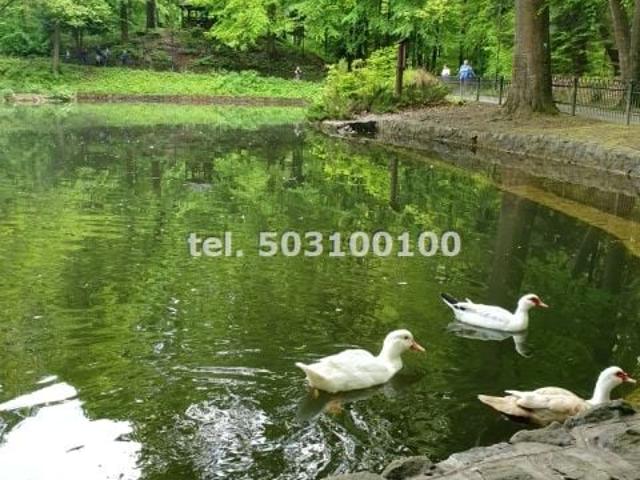 Mieszkanie na sprzedaż w Krynica-zdrój, Małopolskie