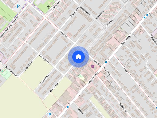 Mieszkanie do wynajęcia w Komorniki, Wielkopolskie