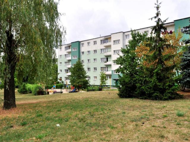 Mieszkanie do wynajęcia w Dębiec, Poznań