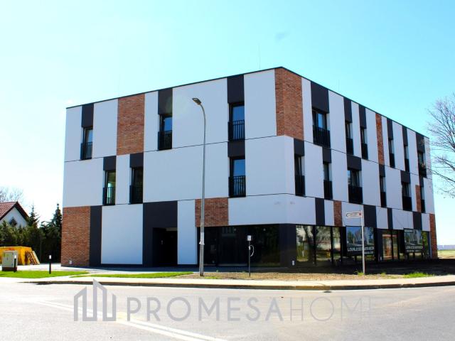 Mieszkanie do wynajęcia w Nagradowice, Wielkopolskie