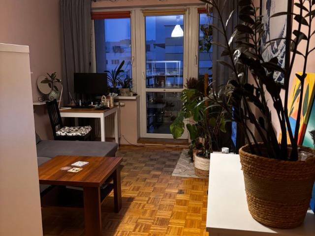 Mieszkanie do wynajęcia w Poznań, Wielkopolskie