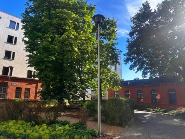 Mieszkanie do wynajęcia w Toruń, Kujawsko-pomorskie