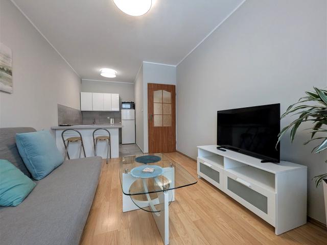 Mieszkanie do wynajęcia w Gliwice, Śląskie