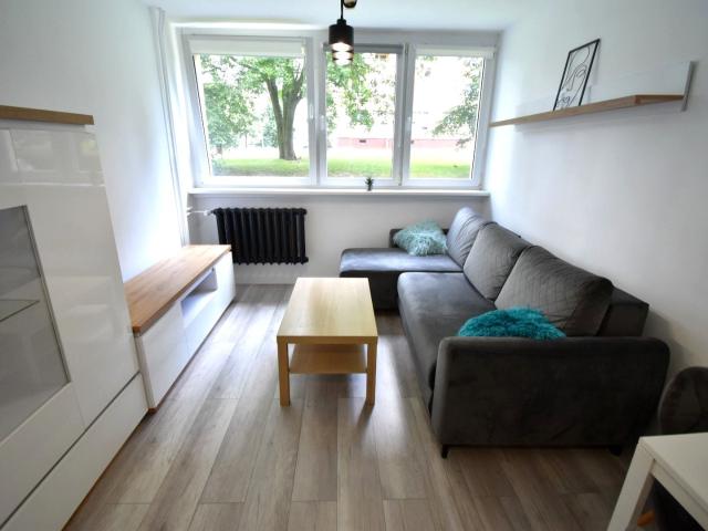 Mieszkanie do wynajęcia w Bolesławiec, Dolnośląskie