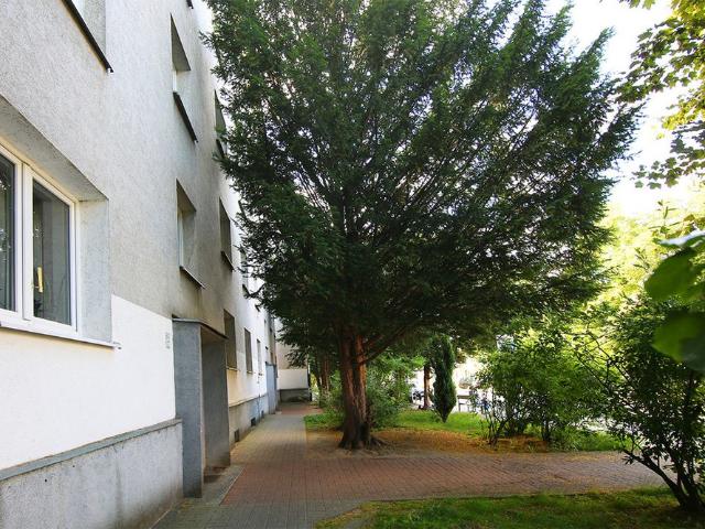 Mieszkanie do wynajęcia w Wrocław, Dolnośląskie