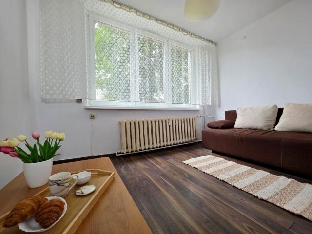 Mieszkanie do wynajęcia w Rybnik, Śląskie