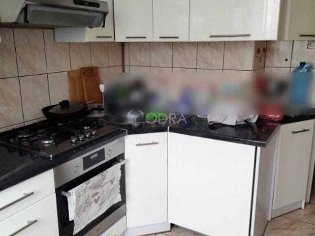 Mieszkanie do wynajęcia w Jelcz-laskowice, Dolnośląskie