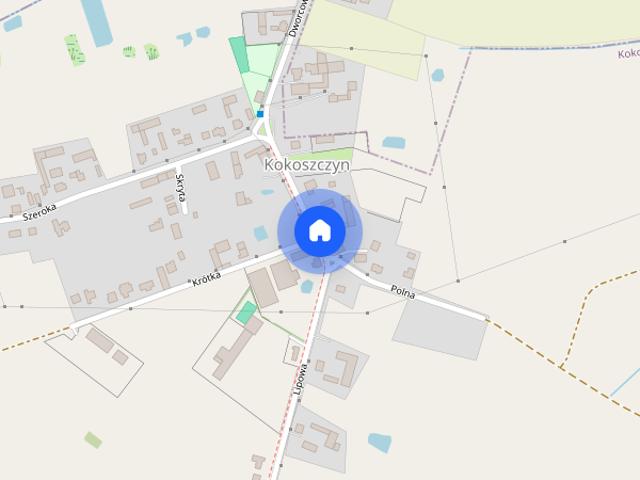 Mieszkanie do wynajęcia w Kokoszczyn, Wielkopolskie