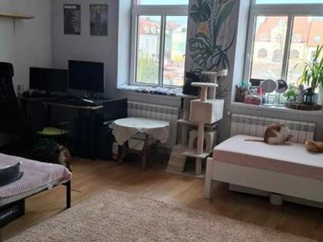 Mieszkanie do wynajęcia w Tarnobrzeg, Podkarpackie