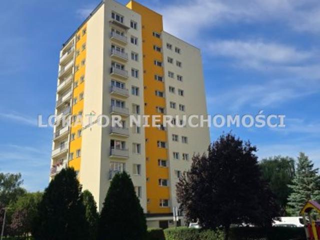Mieszkanie do wynajęcia w Piła, Wielkopolskie