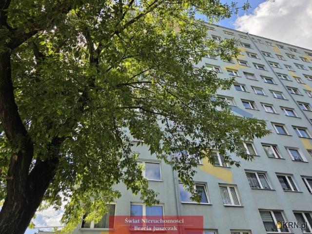 Mieszkanie do wynajęcia w Wrocław, Dolnośląskie