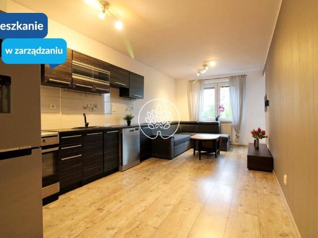 Mieszkanie do wynajęcia w Bydgoszcz, Kujawsko-pomorskie