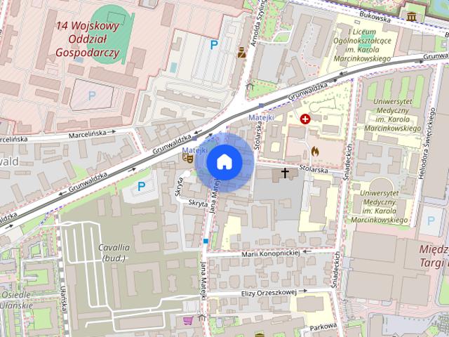 Mieszkanie do wynajęcia w Poznań, Wielkopolskie