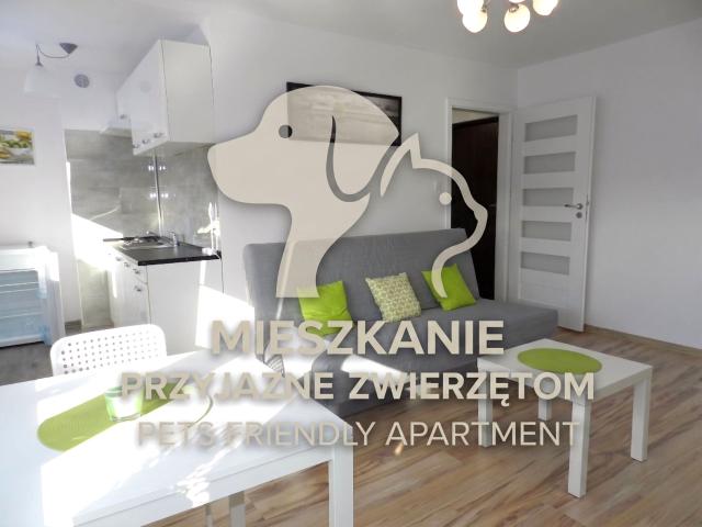 Mieszkanie do wynajęcia w Katowice, Śląskie