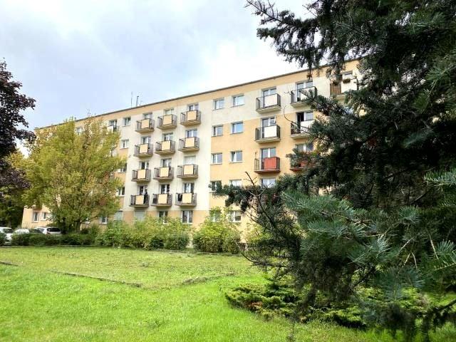 Mieszkanie do wynajęcia w Poznań, Wielkopolskie