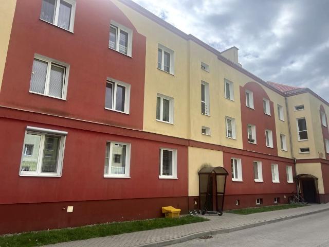 Mieszkanie do wynajęcia w Piotrowo, Poznań