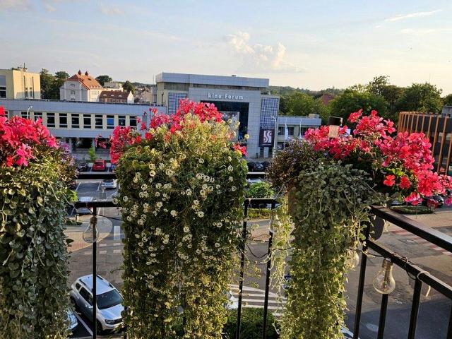 Mieszkanie do wynajęcia w Bolesławiec, Dolnośląskie