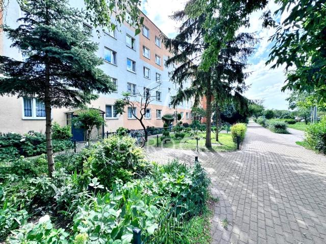 Mieszkanie do wynajęcia w Toruń, Kujawsko-pomorskie
