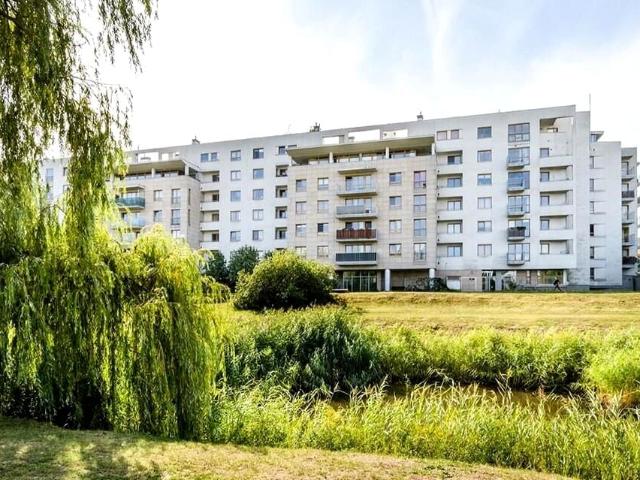 Mieszkanie do wynajęcia w Warszawa, Mazowieckie