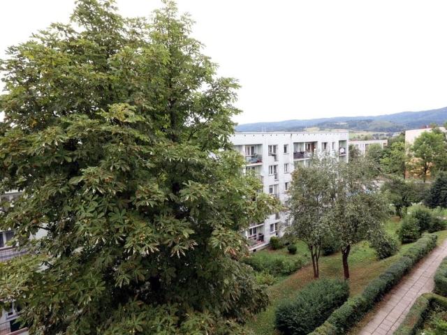 Mieszkanie na sprzedaż w Rabka-zdrój, Małopolskie