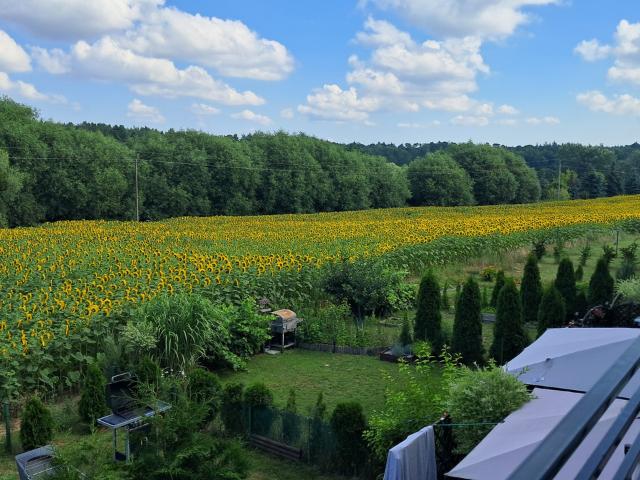 Mieszkanie na sprzedaż w Kaźmierz, Wielkopolskie