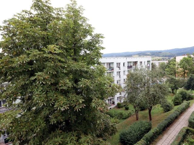 Mieszkanie na sprzedaż w Bednarzówka, Rabka-Zdrój
