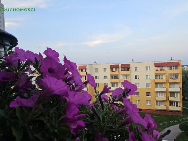 Mieszkanie na sprzedaż w Bydgoszcz, Kujawsko-pomorskie