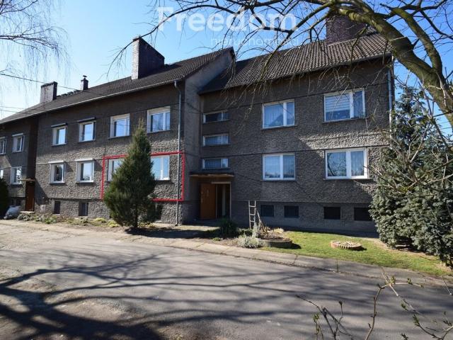 Mieszkanie na sprzedaż w Dąbrowa