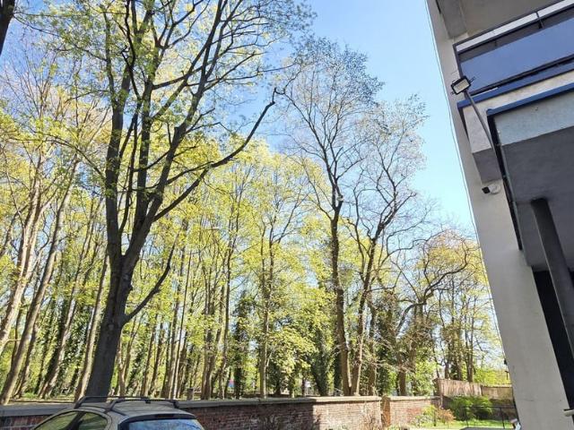 Mieszkanie na sprzedaż w Łódź, Łódzkie
