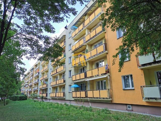 Mieszkanie na sprzedaż w Radom