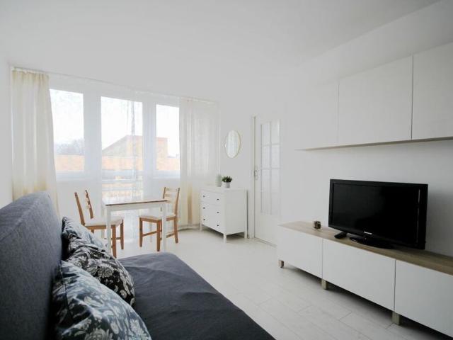 Mieszkanie do wynajęcia w Jawor, Dolnośląskie