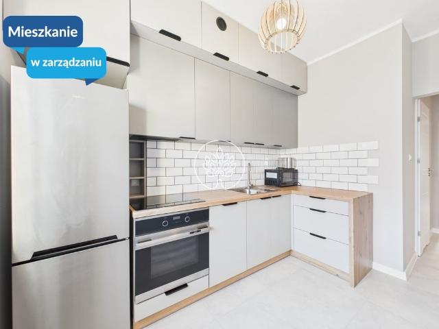 Mieszkanie do wynajęcia w Bydgoszcz, Kujawsko-pomorskie