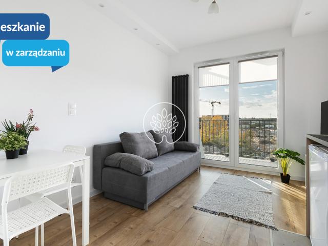 Mieszkanie do wynajęcia w Bydgoszcz, Kujawsko-pomorskie