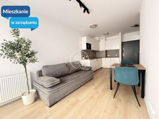 Mieszkanie do wynajęcia w Bydgoszcz, Kujawsko-pomorskie