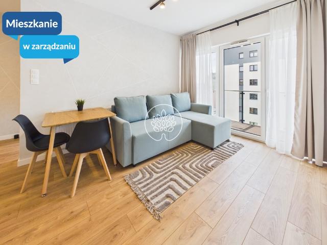 Mieszkanie do wynajęcia w Bydgoszcz, Kujawsko-pomorskie