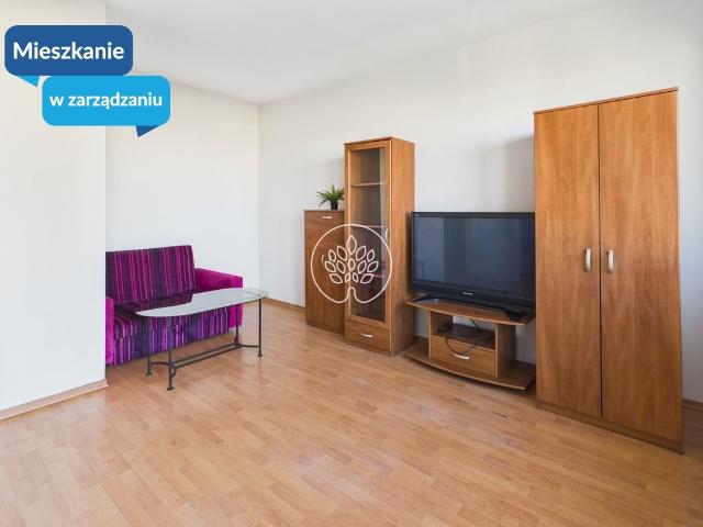 Mieszkanie do wynajęcia w Bydgoszcz, Kujawsko-pomorskie