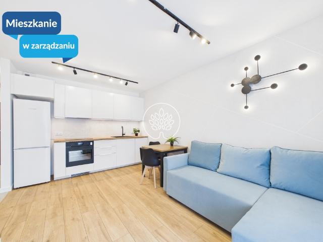 Mieszkanie do wynajęcia w Bydgoszcz, Kujawsko-pomorskie
