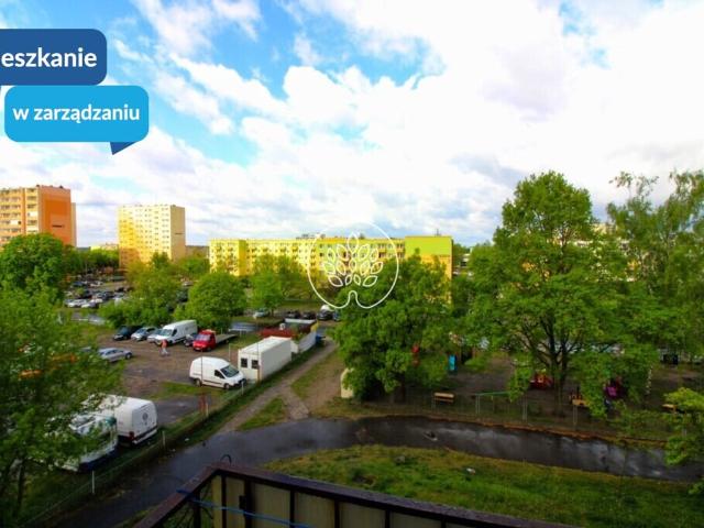 Mieszkanie do wynajęcia w Bydgoszcz, Kujawsko-pomorskie